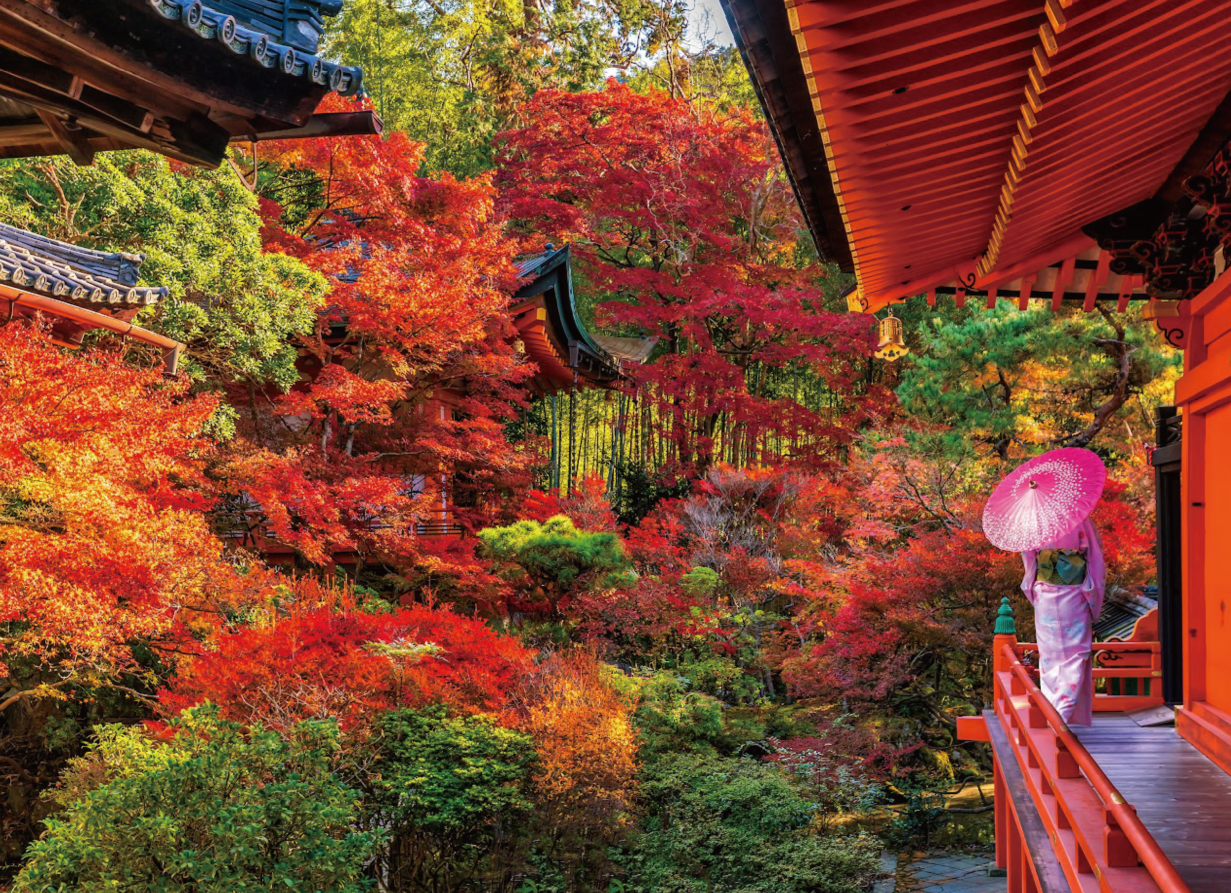 安可為您訂製 秋日賞楓行程